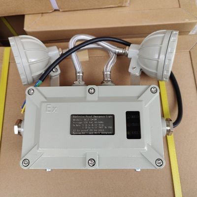Hazardous Area Explosion Proof Exit Emergency Lights 2*3w Chargable Explosion Proof Sign